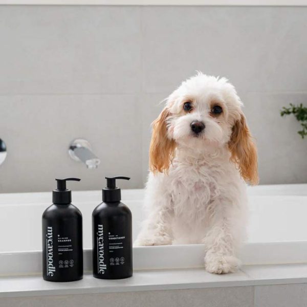 Cavoodle Moodle Shampoo Conditioner