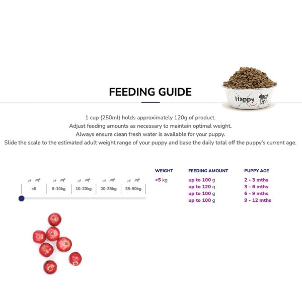 Puppy feeding guide Hypro Premium Grain Free Turkey & Lamb – Puppy Food 9kg