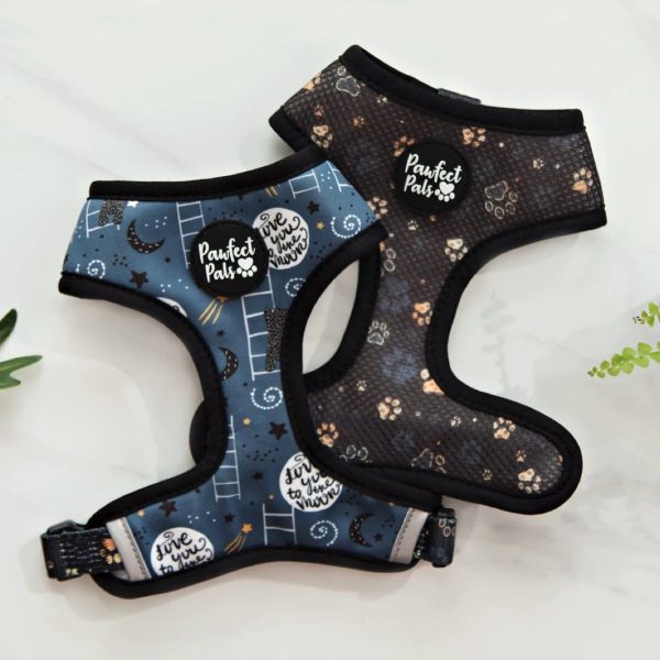 I LOVE YOU BEARY MUCH - REVERSIBLE DOG HARNESS