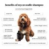 all-in-one shampoo for cavoodles dog grooming