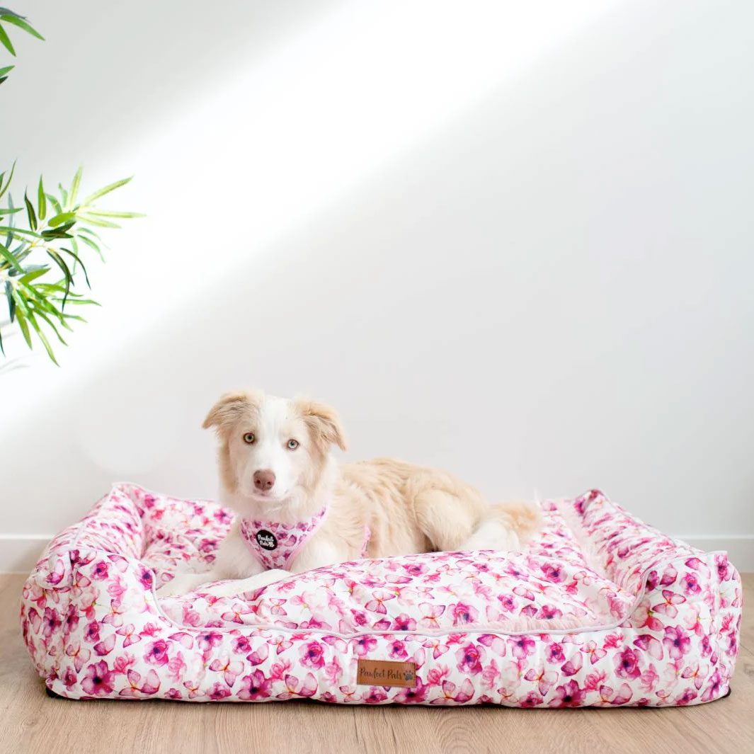 You Give Me Butterflies - Snuggle Dog Bed (Medium) | Homestead Puppies